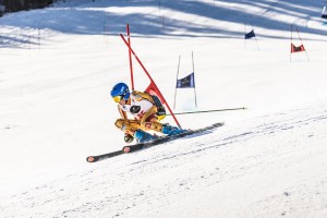 RFlett_REDMtn_FIS_2015-5      